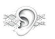Consorcio ECIE (European Consortium for Inner Ear)