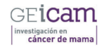 Grupo Español de Investigación en Cáncer de Mama (GEICAM). Grupo de trabajo HER2