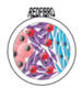 Red de investigación integrada en fibrosis orgánica
